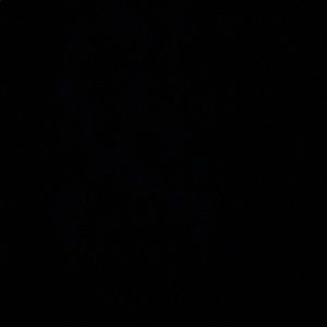 Meet your Posher, Natasha